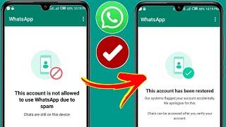 Como consertar esta conta não tem permissão para usar o WhatsApp devido a problema de spam (2024)