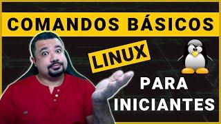 Comandos Básicos do Linux | Guia para Iniciantes - Terminal Linux