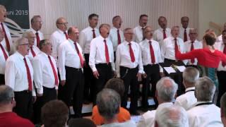 Männerchor Rheinfelden - Schweizer Gesangfest Meiringen 2015 - Singen vor Experten