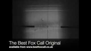 Calling (and shooting) a Fox with the Best Fox Call Original -