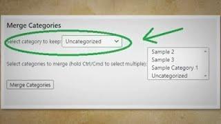 How To Merge Multiple Tags/Categories In WordPress [Easy]