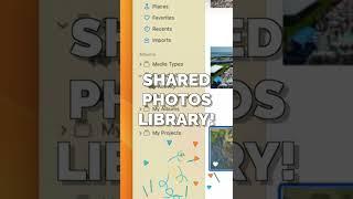 Shared Photos Library in MacOS Ventura #shorts #macosventura