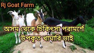 ছাগল পালন ৷ছাগলের খামার | goatfarming |goat|Rj Goat Farm Bahirgachi Nadia