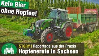 Hopfenernte bei der Gersdorfer Agrarproduktion | Biodiversität | Landwirtschaft | NaPA Projekt