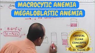 Macrocytic Anemia | Megaloblastic Anemia 🩺