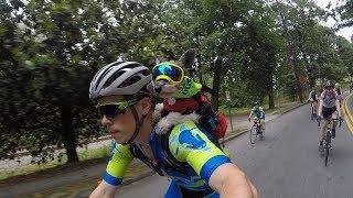 Pippa the Biking Dog is Cycling's Cutest Rider