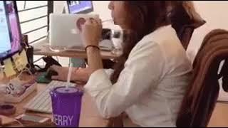 Blowjob training at office ️