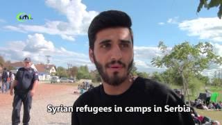 Syrian refugees talk about their emigration reasons to Europe (IML TV) 2015.