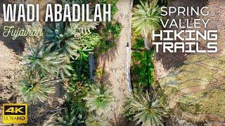 UAE's Hidden Gems | Beautiful Wadi Abadilah (Spring Valley) Hiking Trails | Fujairah | 4K