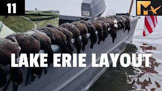 LAKE ERIE DUCK HUNTING Layout Boat Pennsylvania Waterfowl Hunt Diver Ducks Bluebill Limit Bufflehead