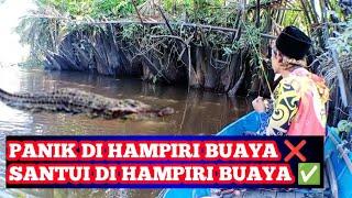 BUAYA MENGHAMPIRI KETIKA MANCING UDANG⁉️ BUKAN NYA KABUR MALAH DI DEKATI