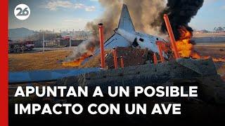 ASIA | Autoridades creen que la causa del accidente aéreo de Corea del Sur fue una avería