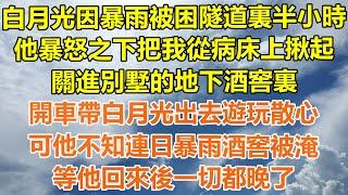 （完結爽文）白月光因暴雨被困隧道裏半小時，他暴怒之下把我從病床上揪起，關進別墅的地下酒窖裏，開車帶白月光出去遊玩散心，可他不知連日暴雨酒窖被淹，等他回來後我早就死了！#情感#幸福#出軌#家產#白月光