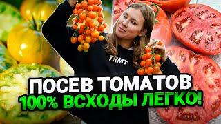 ПОСЕВ ТОМАТОВ НА РАССАДУ, 100% РЕЗУЛЬТАТ ЛЕГКО И ПРОСТО