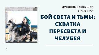 Бой Света и тьмы: схватка Пересвета и Челубея