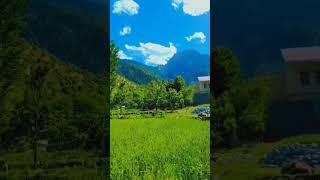 Chitral Valley Bumborate | Kalash Valley | Chitral Valley Kpk Tourism | Chitral Pakistan |