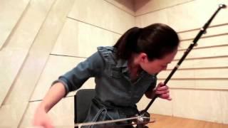 The Erhu