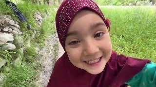 Shirazi Vlogs MoMents 