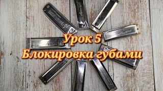 Губная гармошка урок 5