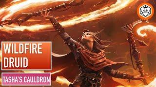 How to play the Wildfire Druid without burning your eyebrows off | Tashas Cauldron Subclass Review