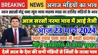 अनाज मंडी भाव| 23 अप्रैल 2024 सरसों नरमा जीरा इसबगोल में आई तेजी| ग्वार चना में बदलाव| mandi bhav