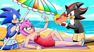 Amy's New Rich Life | Sonic Life Story | Sonic the Hedgehog 2 Animation