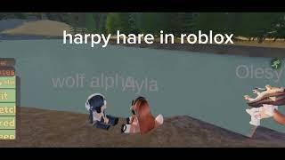 Harpy hare in roblox game name:children of meadow  #quadrobics#therians#therianthropy#harpyhare#cat