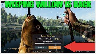 OVERSIZED CARPS ARE BACK - Weeping Willow Is Fixed Not Bug/Nerfed Anymore - Fishing Planet Update