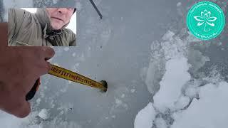 Проверяем толщину льда, зимовка нимфей в питомнике waterlilia.ru
