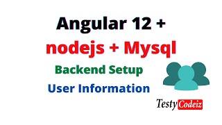 Angular project from scratch, Angular user management project crash course, Backend Setup with Mysql