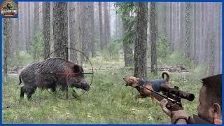 How Do Texas And Florida Hunters Deal With Millions Of Feral Hogs | Hog Hunting