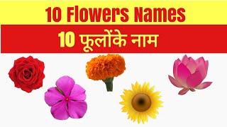 10 Flowers name hindi and english/फूलों के नाम हिंदी में और अंग्रेजी में/Flowers name in english l