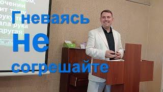 Гневаясь не согрешайте - Карпинский Олег Сергеевич