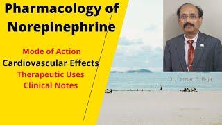 Pharmacology of Norepinephrine