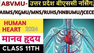 Function of Heart| Structure of the Human Heart |Chambers of the Heart |Heart ventricles and atria