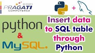 Python & MySQL - Insert data to Table in SQL through Python