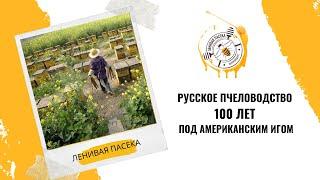Пчеловодство в России  100 лет под американским игом