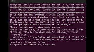 How to solve SSH error in Ubuntu - WARNING: REMOTE HOST IDENTIFICATION HAS CHANGED