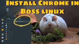 How to install Google Chrome  in Boss linux 