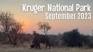 Kruger National Park Holiday - Unforgettable Family Bonding
