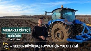 Hayvanlar İçin Yem Ekimi - MERAKLI ÇİFTÇİ #yem #hayvan #besici