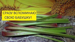 Варенье из ревеня - вкус детства! Разные варианты. Ольга Чернова.