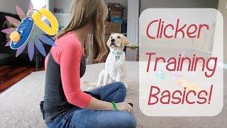 Clicker Training Basics! | Teach Your Dog To High-Five!!