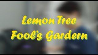 Fool's Garden - Lemon Tree (One Man Band by Kevin)