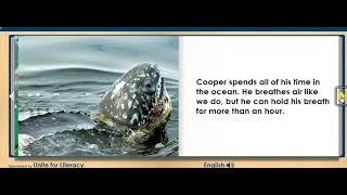 SEA TURTLES animal story for kids, children, ESL, English EASY READ ALONG AUDIO STORY BOOK
