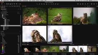 Capture One Pro 8 Webianr (DE) | Einführung in Capture One Pro 8