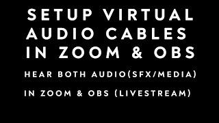 Setup Audio Cables in Zoom & OBS