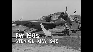 Fw 190s at End of WWII, May 1945