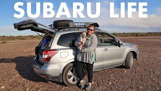 She Lives Full Time in Her Subaru Forester as a Digital Nomad! (SUV Camping/Vanlife Tour)