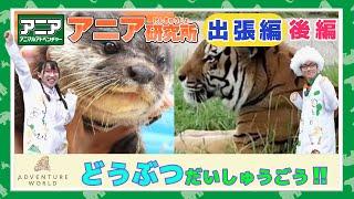 【アニア研究所】アドベンチャーワールドの動物たちにあってきたよ！(後編)